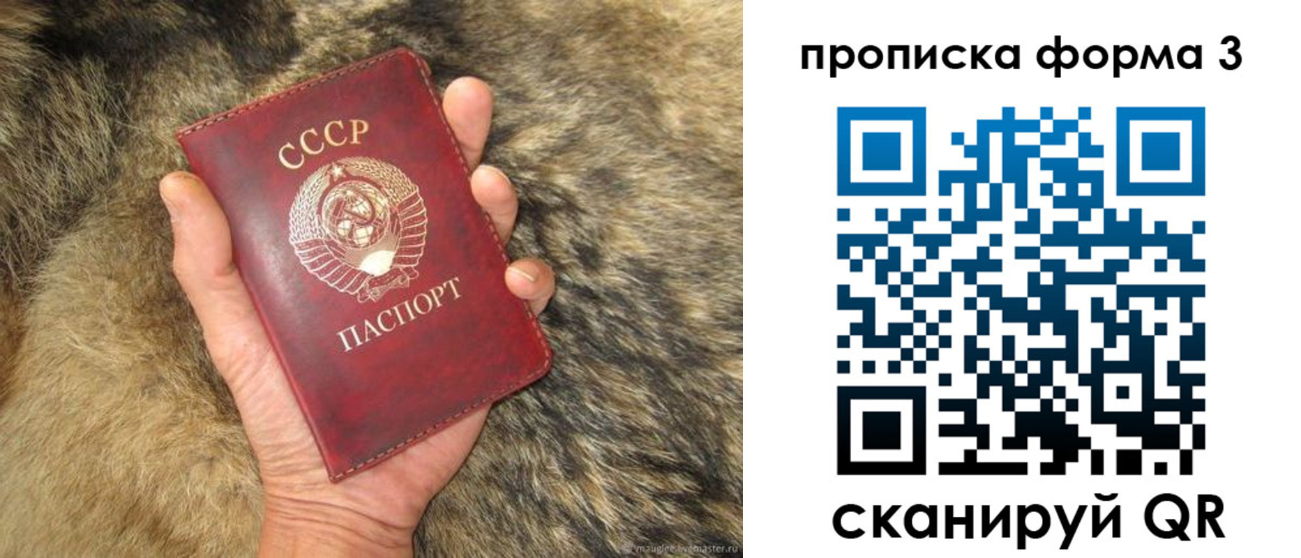 прописка в квартире в Лабинске